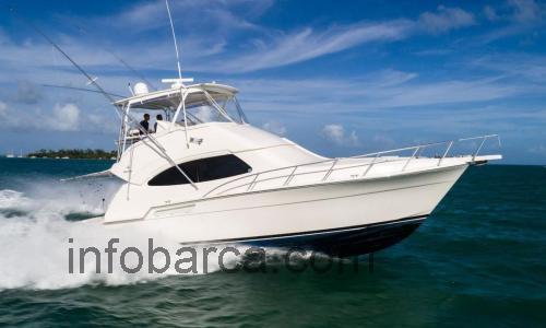 Bertram 450 Convertible scheda tecnica e recensioni